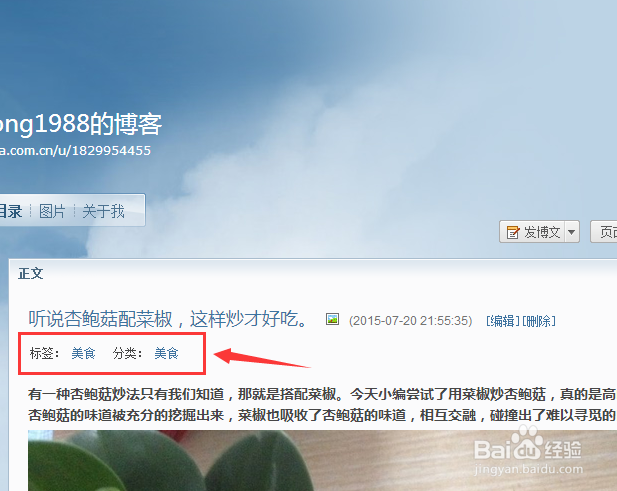 新浪博客手机版新浪博客下架原因-第1张图片-太平洋在线下载