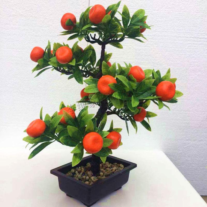 植物仿真苹果版下载植物大战僵尸经典版苹果版下载-第1张图片-太平洋在线下载