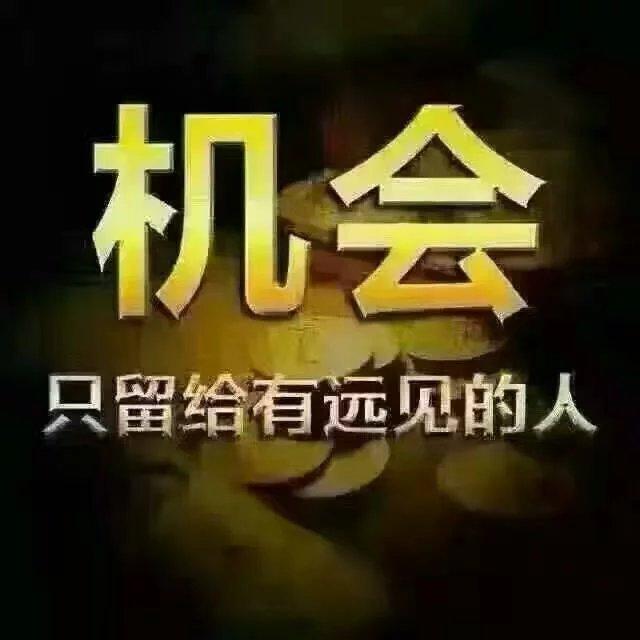华龙点金财富版苹果版华龙点金财富电脑版下载