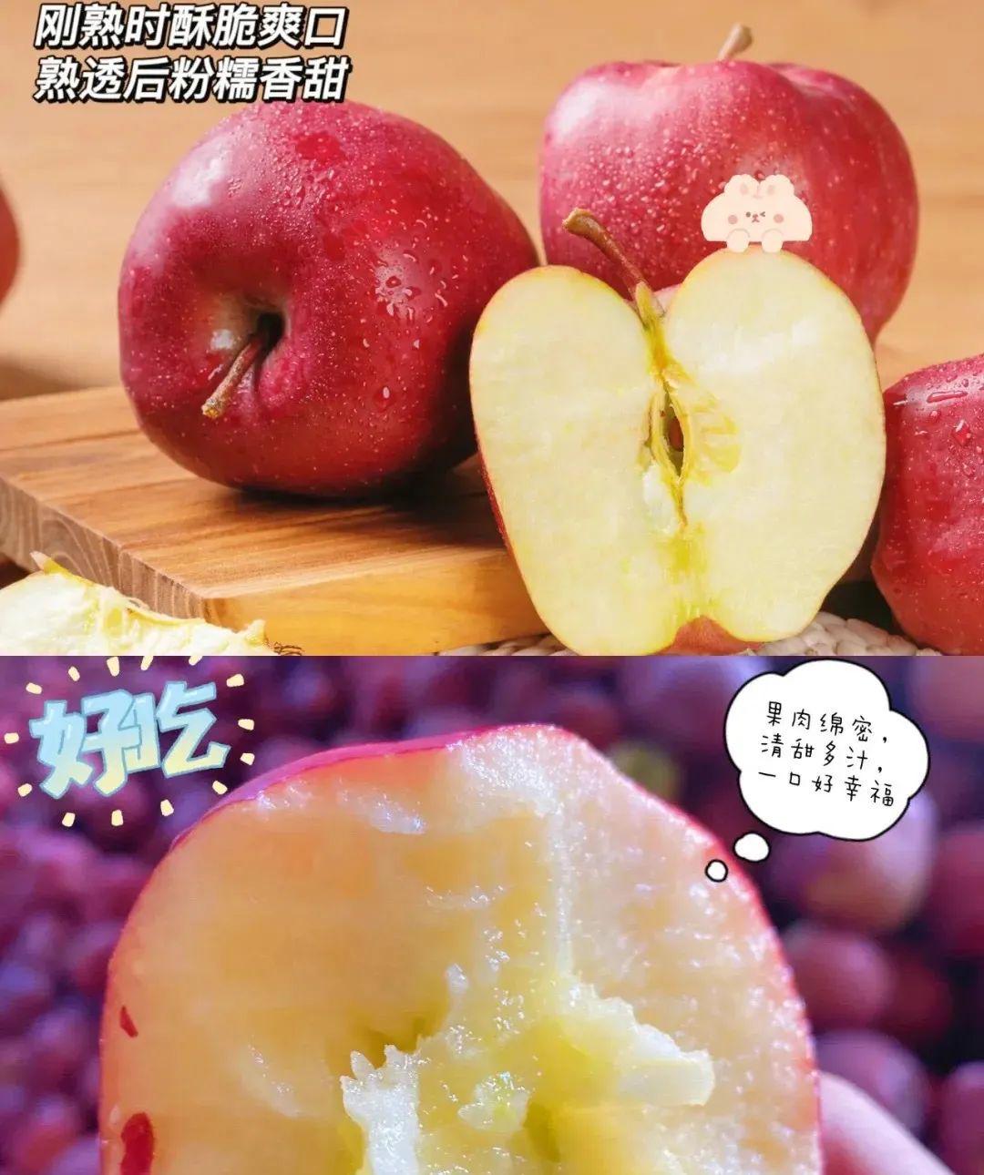 苹果版粉站苹果手机官方旗舰店-第1张图片-太平洋在线下载