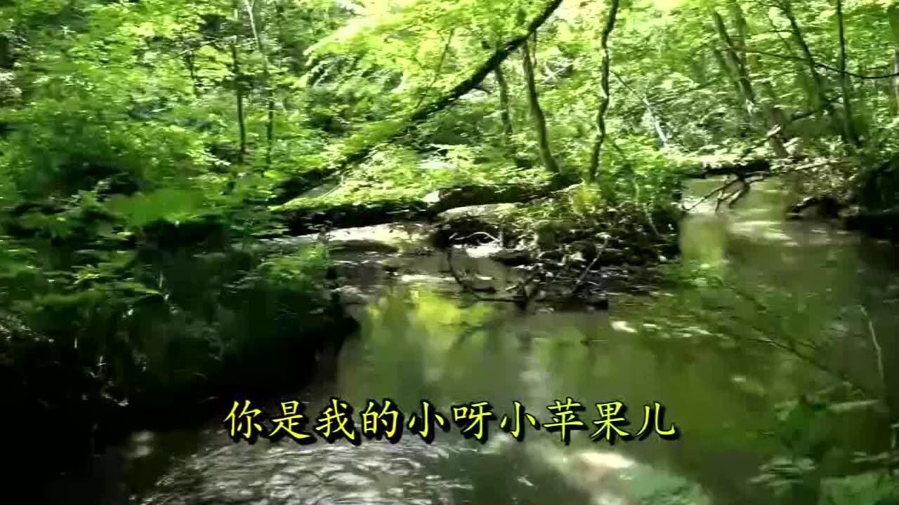 英国dj版小苹果小苹果cf活动助手网页版