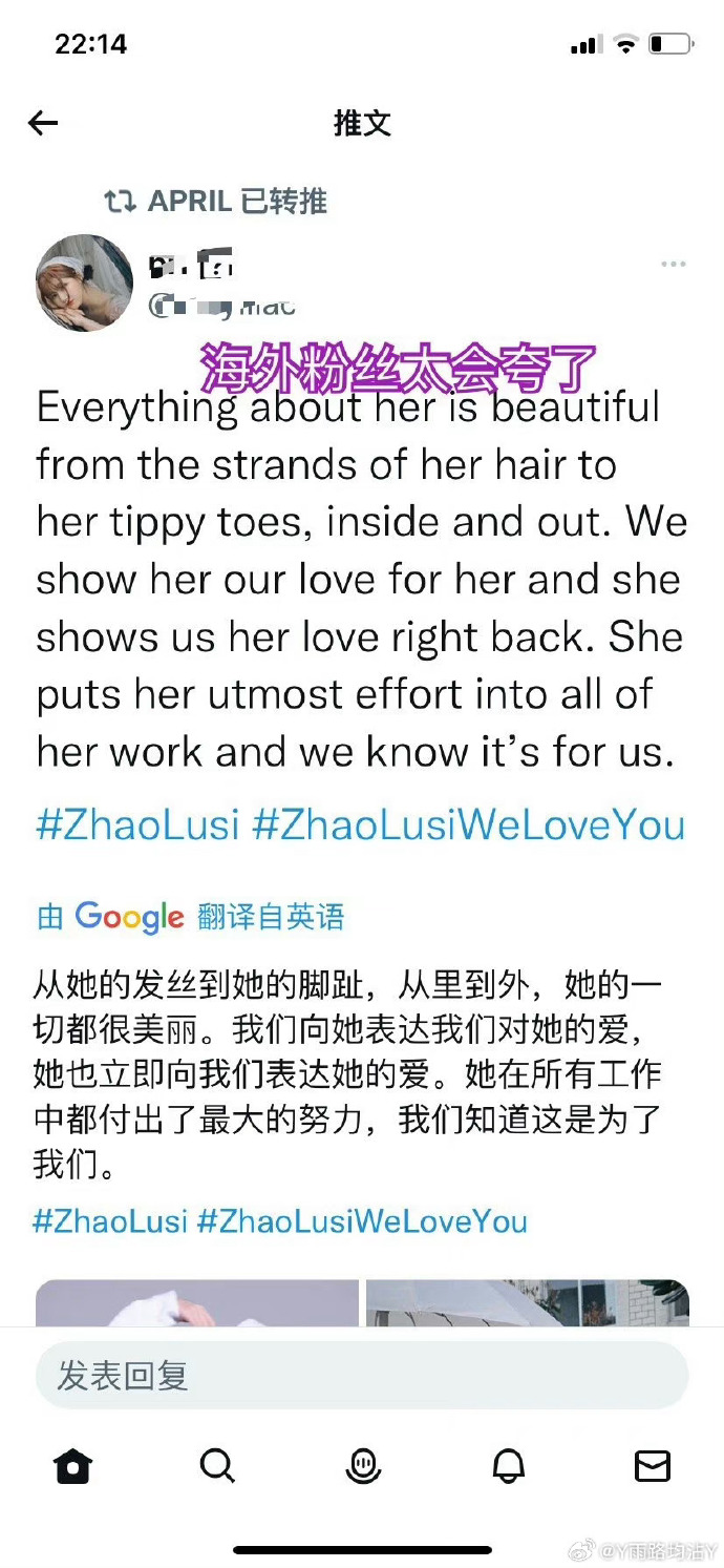 推特客户端翻译twitter破解版直接可看