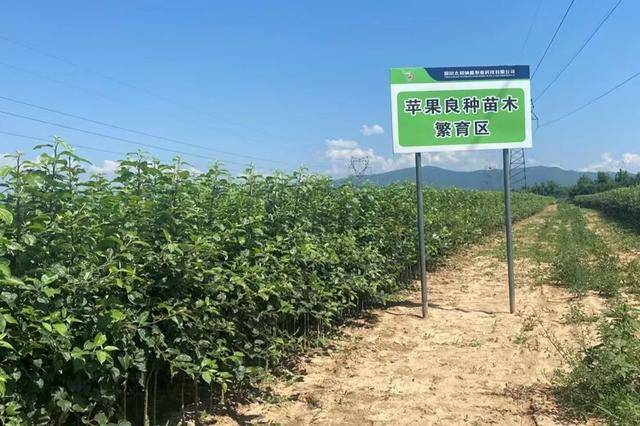 苹果版基建照片采集iphone实时照片
