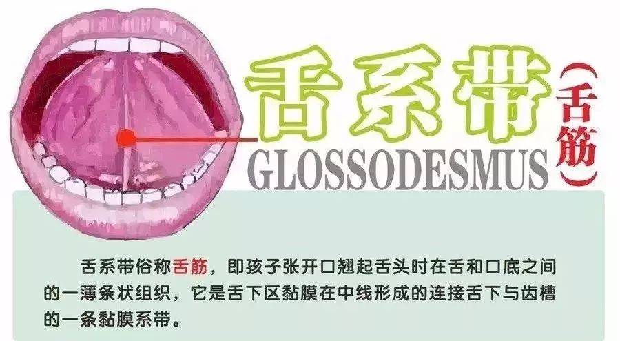 舌尖连线安卓版舌尖安全网登录入口-第2张图片-太平洋在线下载