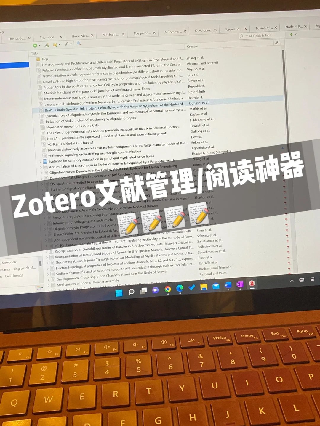 zotero客户端笔记擦除zotero用户名为啥不可以-第2张图片-太平洋在线下载
