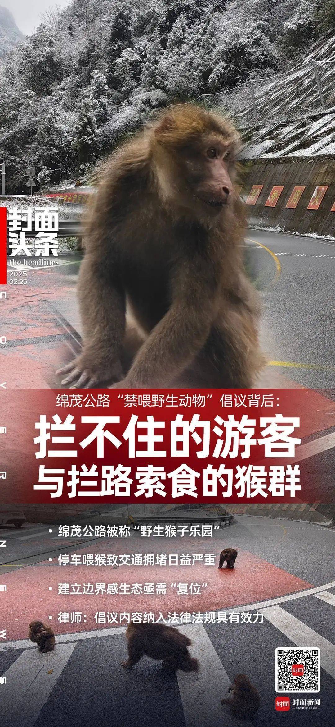 别喂猴子手机版别喂猴子手机版下载中文版-第2张图片-太平洋在线下载