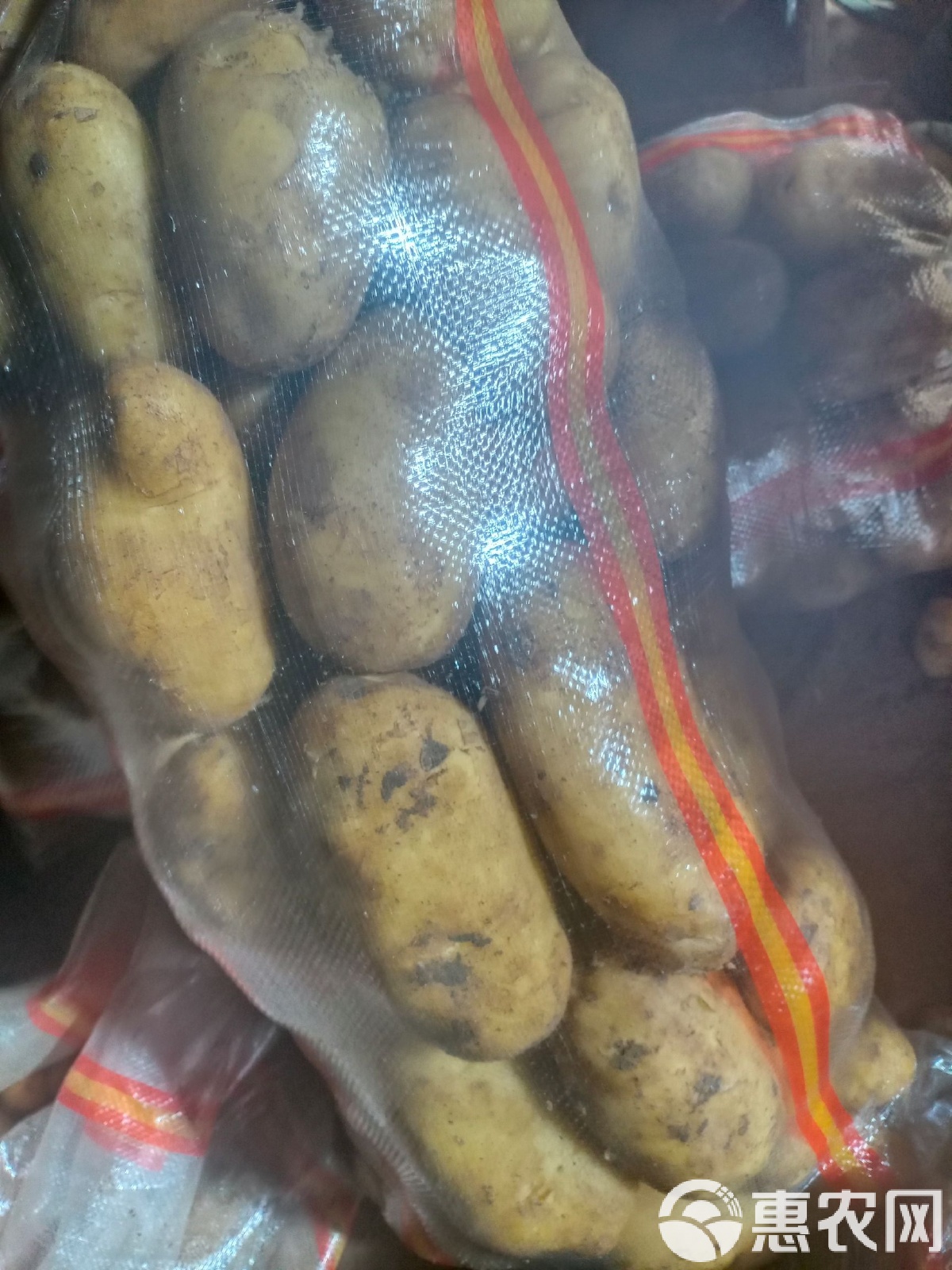 土豆视频手机版土豆视频播放器